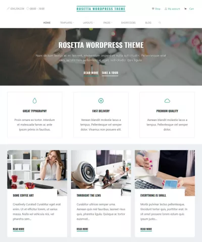 Setup Wordpress theme & customization 