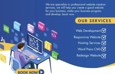 I will design, develop web development and web design as an website as expert