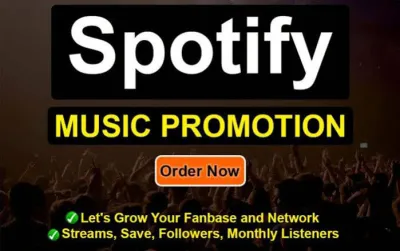 I will do organic Spotify music promotion viral worldwide 