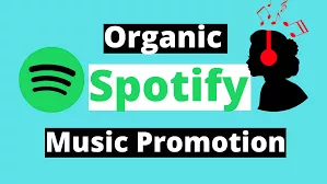 Premium spotify organic worldwide plays